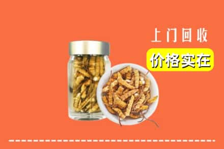 收购资讯:太原娄烦县回收散虫草