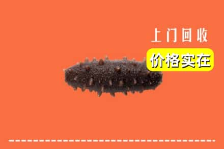 收购资讯:太原娄烦县回收海参