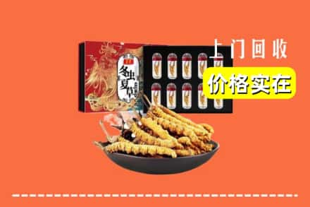 太原娄烦县回收虫草